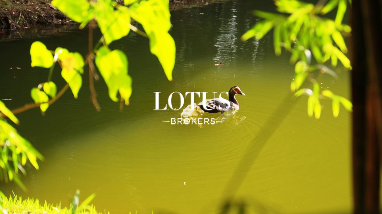 Nature Village, foto 2